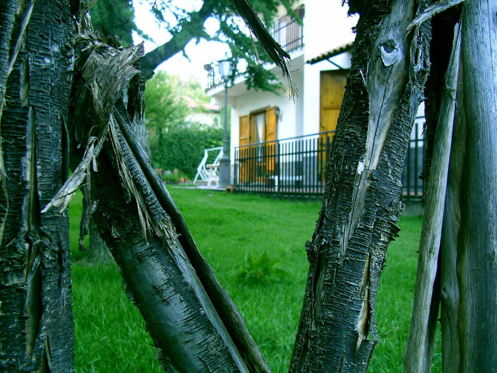 פדארה Villa Caterina B&B מראה חיצוני תמונה