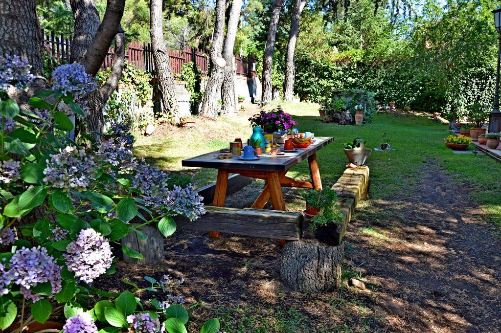 פדארה Villa Caterina B&B מראה חיצוני תמונה